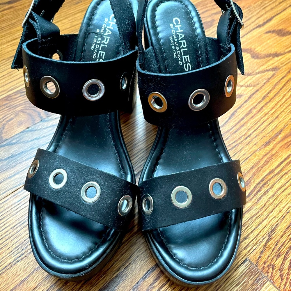 Charles by Charles David leather platform sandals